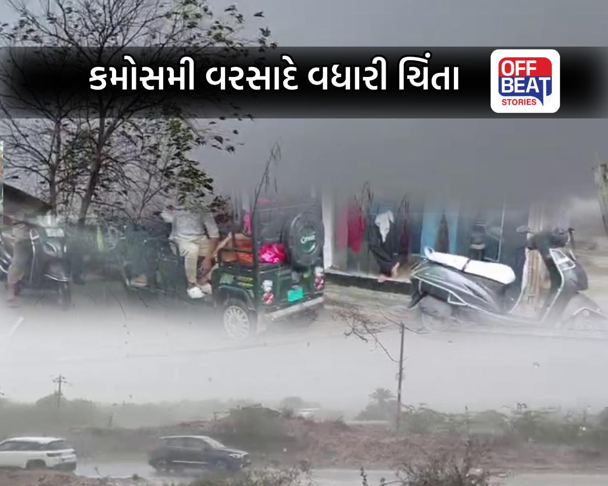 ગુજરાતમાં માવઠાનો કહેર