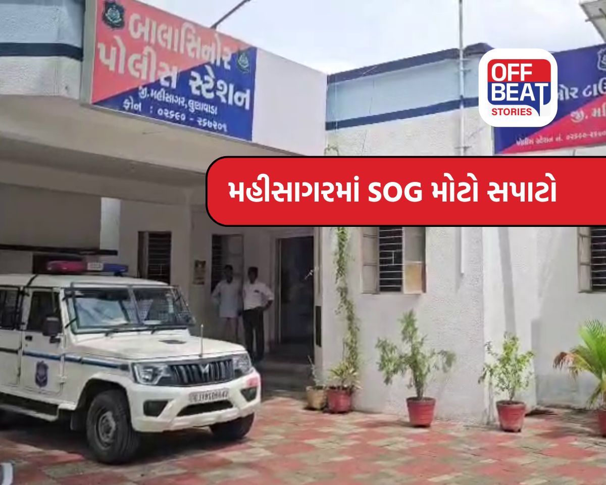 બાલાસિનોરમાં ફિલ્મી ઢબે ઓપરેશન