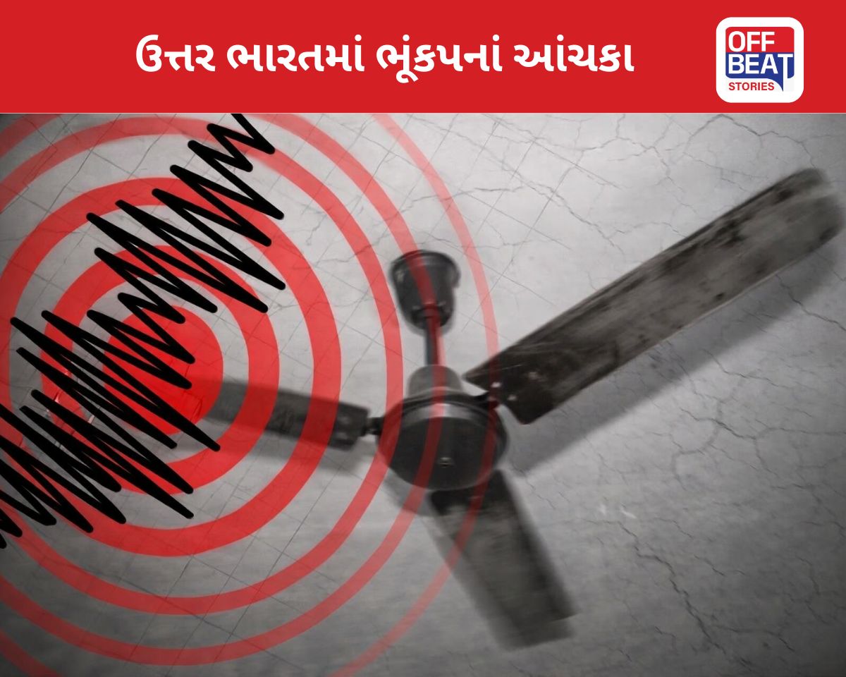 ઉત્તર ભારતમાં 5.9 ની તીવ્રતાનો ભૂકંપ