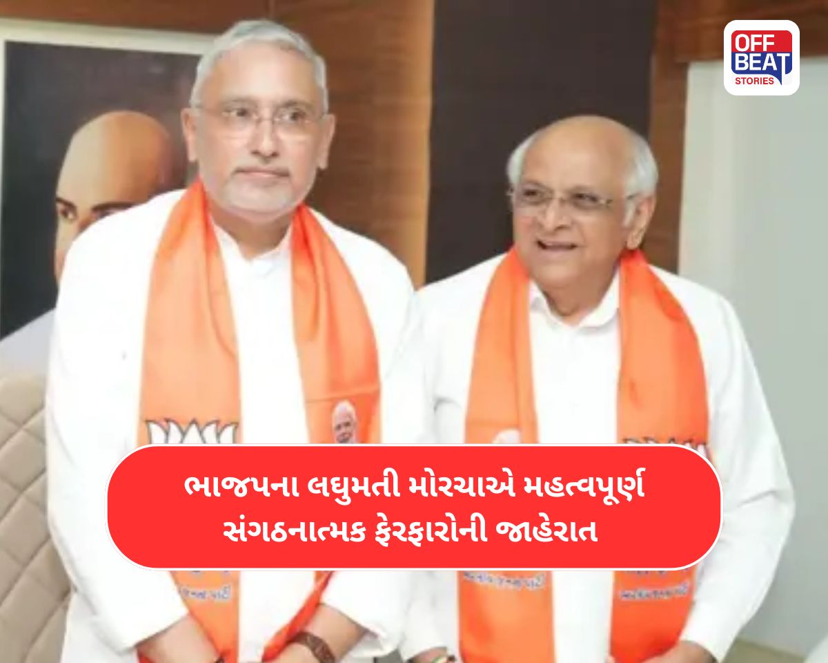 ગુજરાત ભાજપના લઘુમતી મોર્ચાની નવી ટીમ તૈયાર