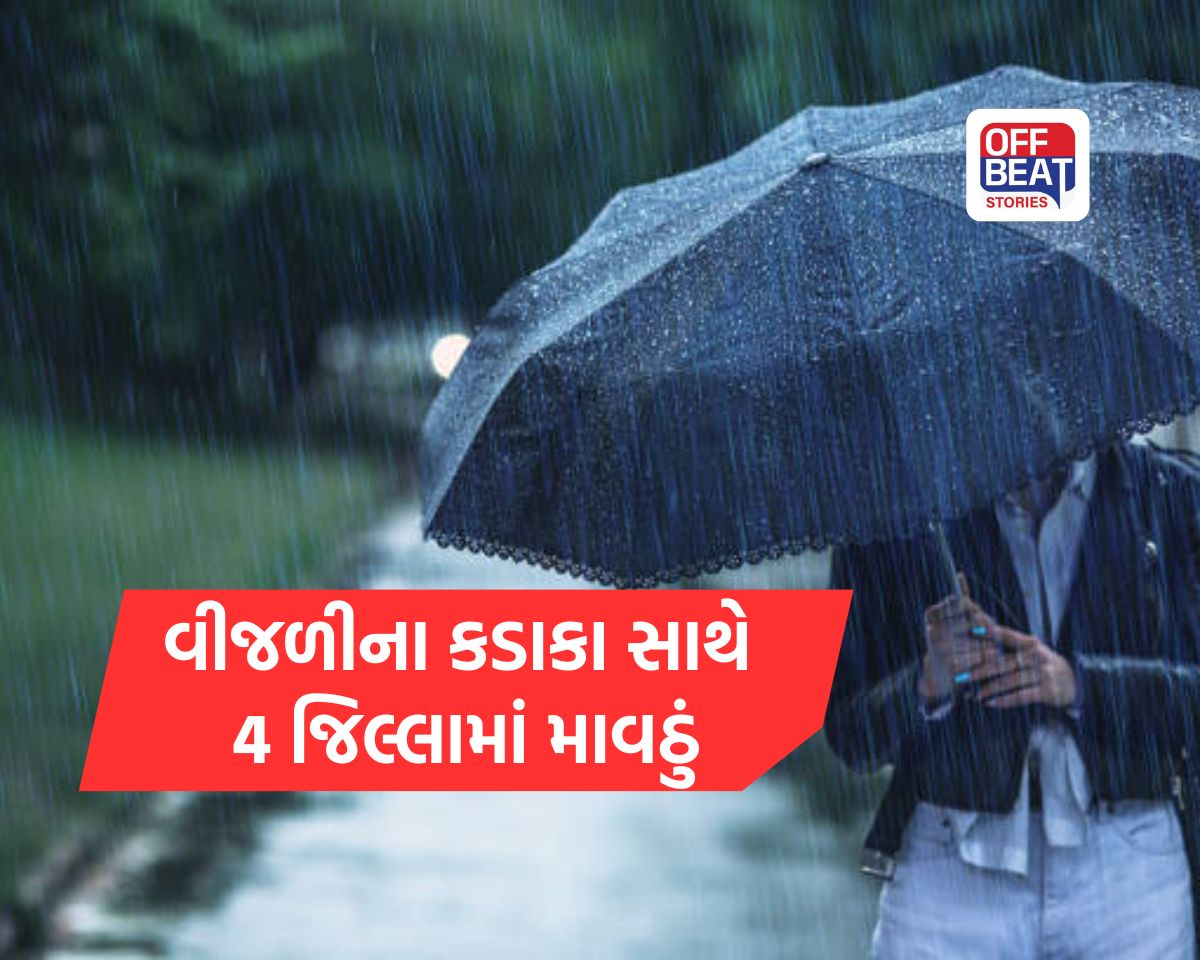 ગુજરાતમાં ભર ઉનાળે અષાઢી માહોલ