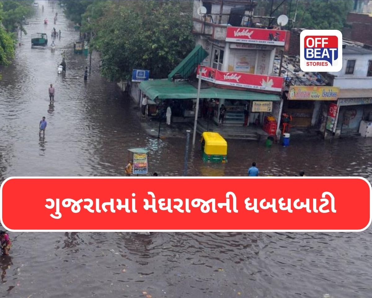 ગુજરાતમાં ભરઉનાળે વિજળીના કડાકા ભડાકા સાથે આભ ફાટ્યું!