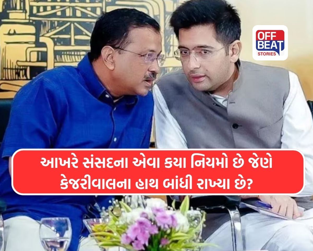 રાઘવ ચઢ્ઢા સામે AAP કેમ છે લાચાર?
