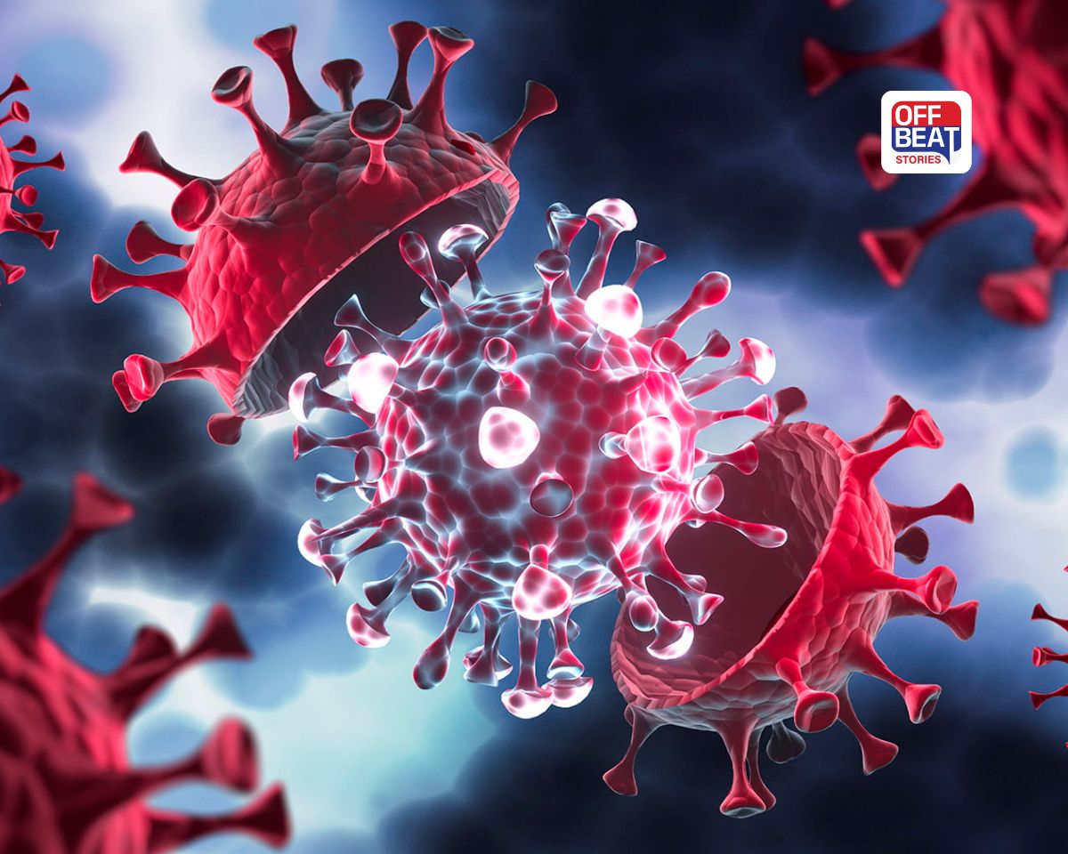 કોરોનાનો નવો વેરિયન્ટ 'સિકાડા' વકર્યો