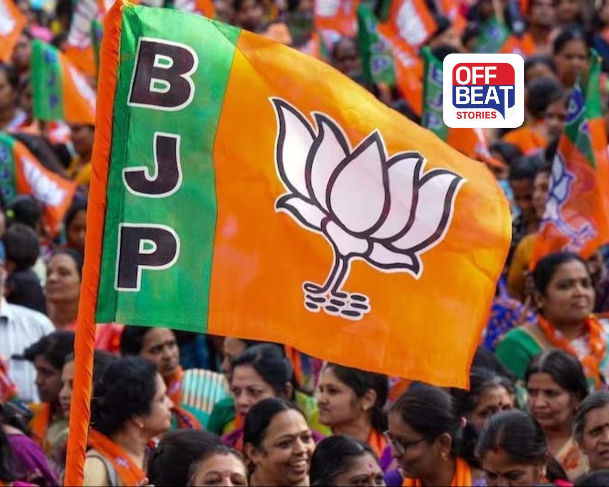 વાઘોડિયા-ડભોઈમાં ટિકિટ માટે રસાકસી