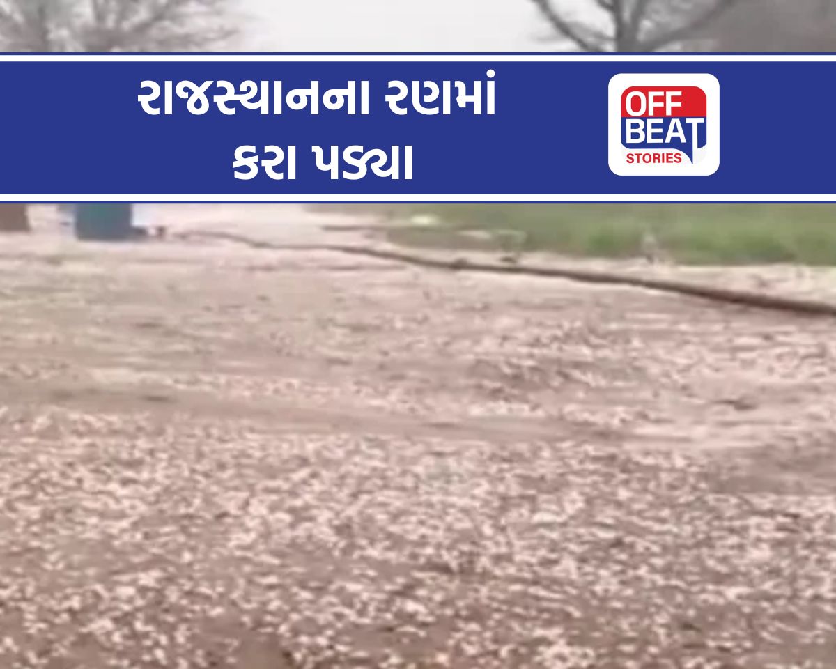 રાજસ્થાનના રણમાં કરા પડ્યા
