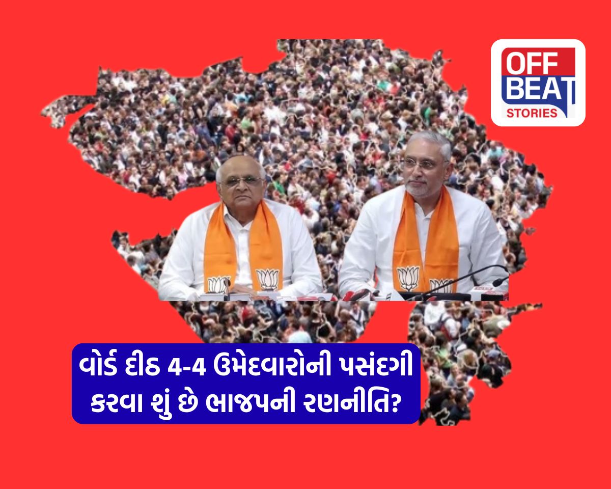 ચૂંટણીમાં ભાજપ વોર્ડ દીઠ તૈયાર કરશે 12 નામોની પેનલ