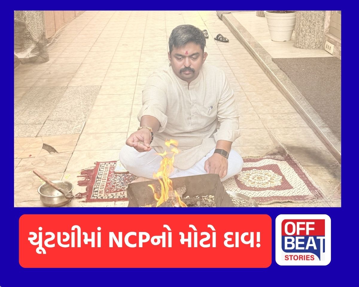સ્થાનિક સ્વરાજ્યની ચૂંટણીમાં NCPનો મોટો દાવ
