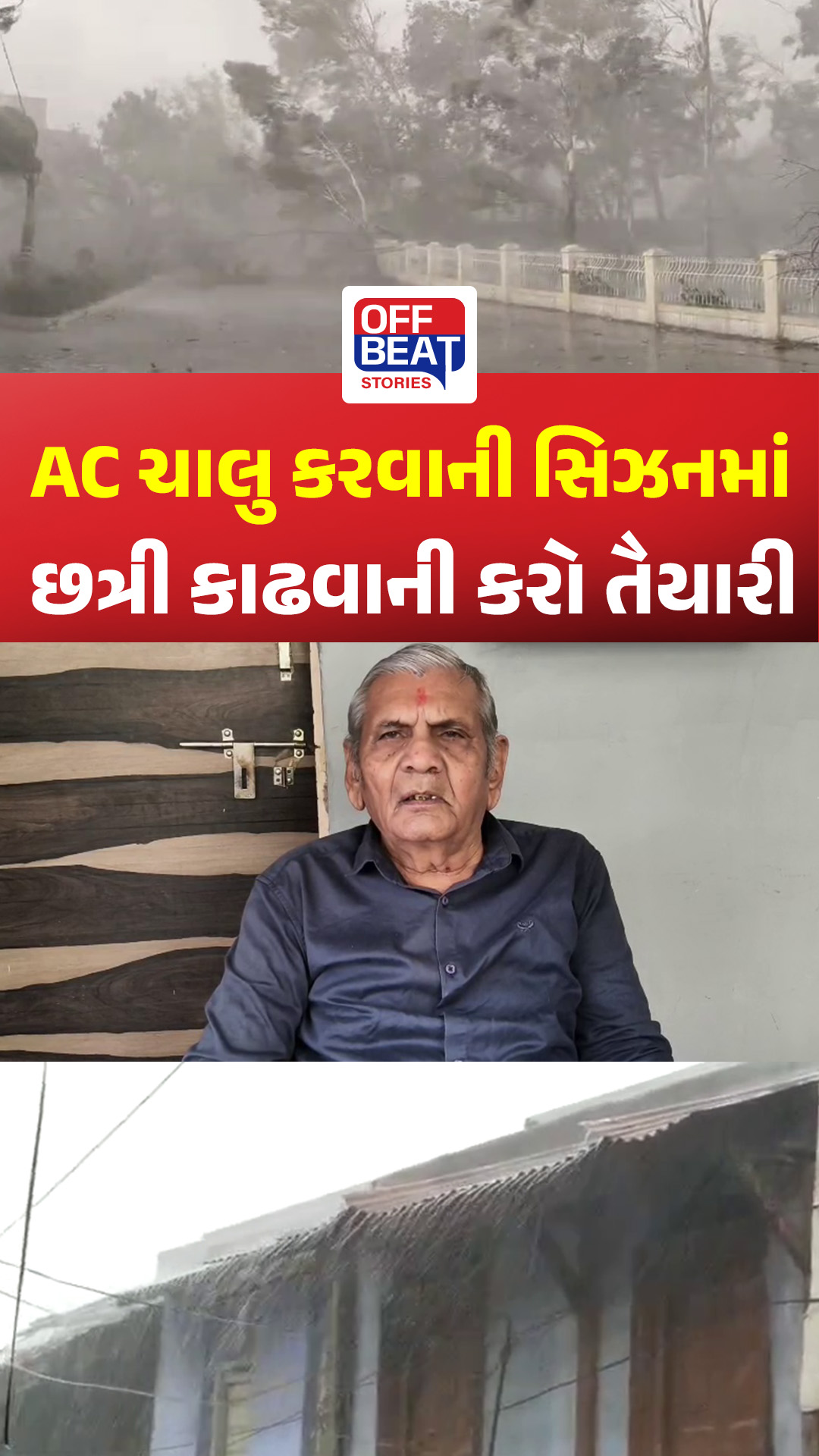 ગુજરાતમાં પડશે કરા
