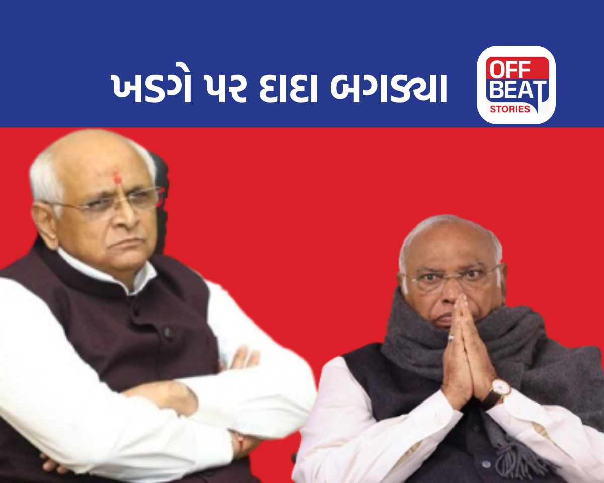 ગુજરાતીઓને અભણ કહેનારા ખડગે પર બગડ્યા 'દાદા'