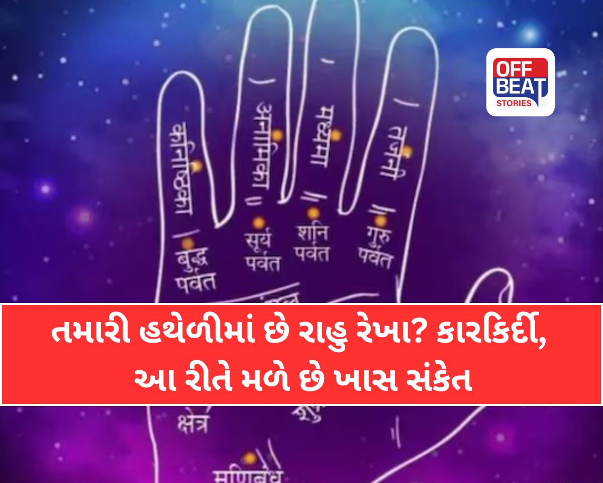 palmistry rahu line