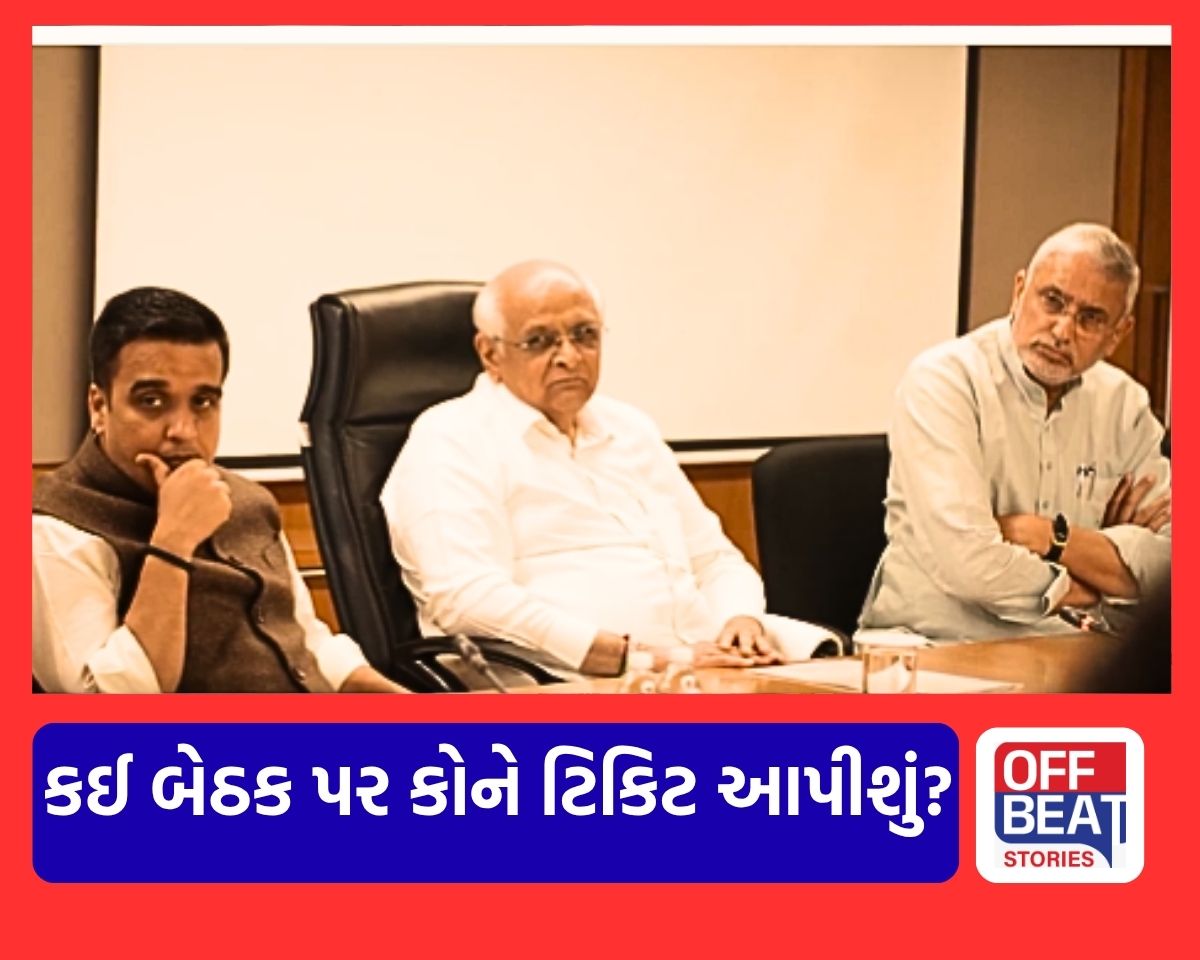 ચૂંટણીમાં કઈ બેઠક પર કોને ટિકિટ આપવી?
