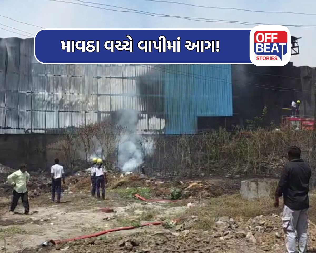 વાપીમાં શાહ પેપર મિલમાં ભીષણ આગ