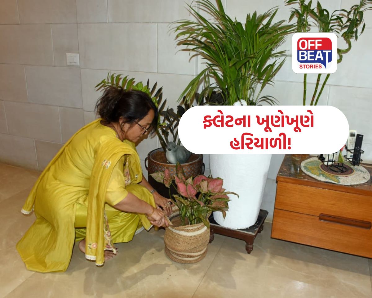 ફ્લેટમાં ખીલ્યું 'નાનું ગામ'