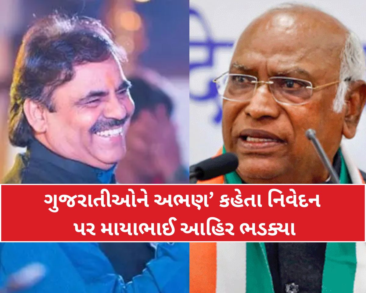 'ગુજરાતીઓને અભણ કહેતા પહેલા ઇતિહાસ જાણી લેવો જોઈએ'