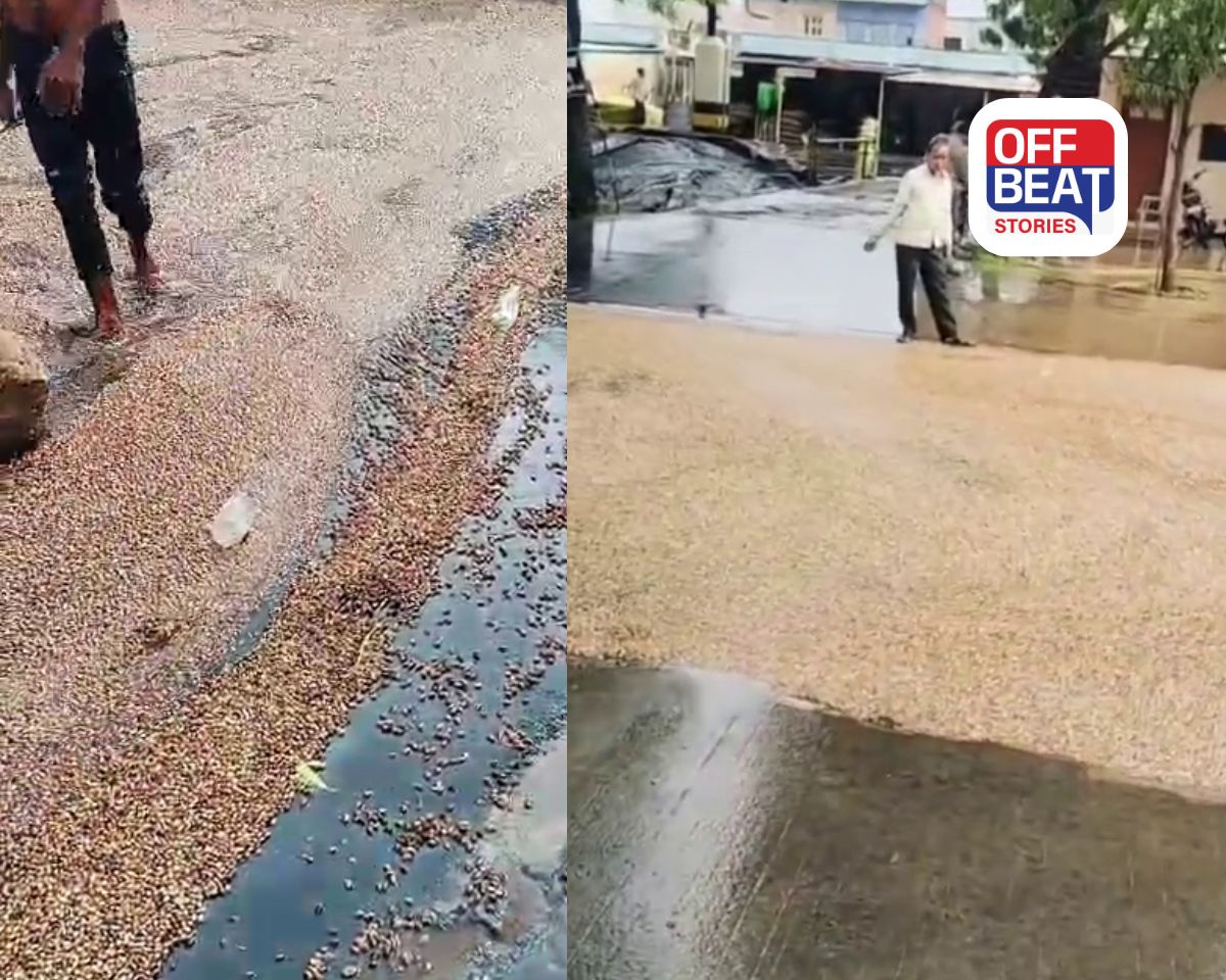 માણસા માર્કેટ યાર્ડની બેદરકારી કે કુદરતની થપાટ?