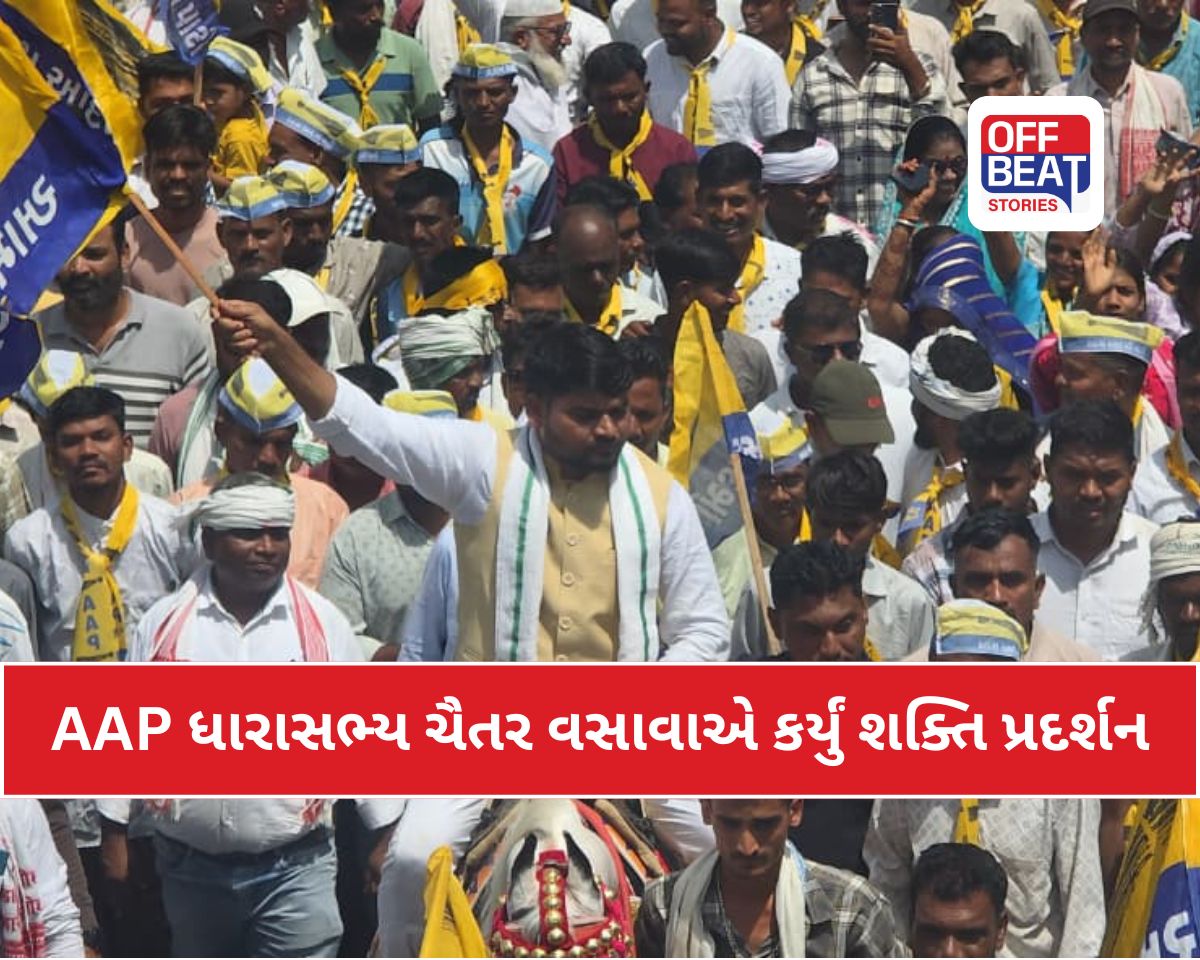 ચૈતર વસાવાએ ગજવ્યું ડેડીયાપાડા-સાગબારા