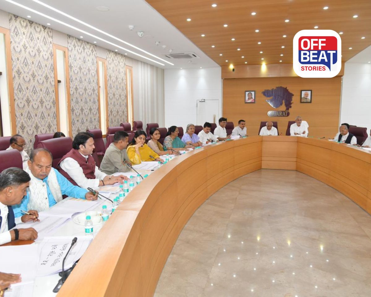 ગુજરાત ભાજપમાં ટિકિટનો જંગ