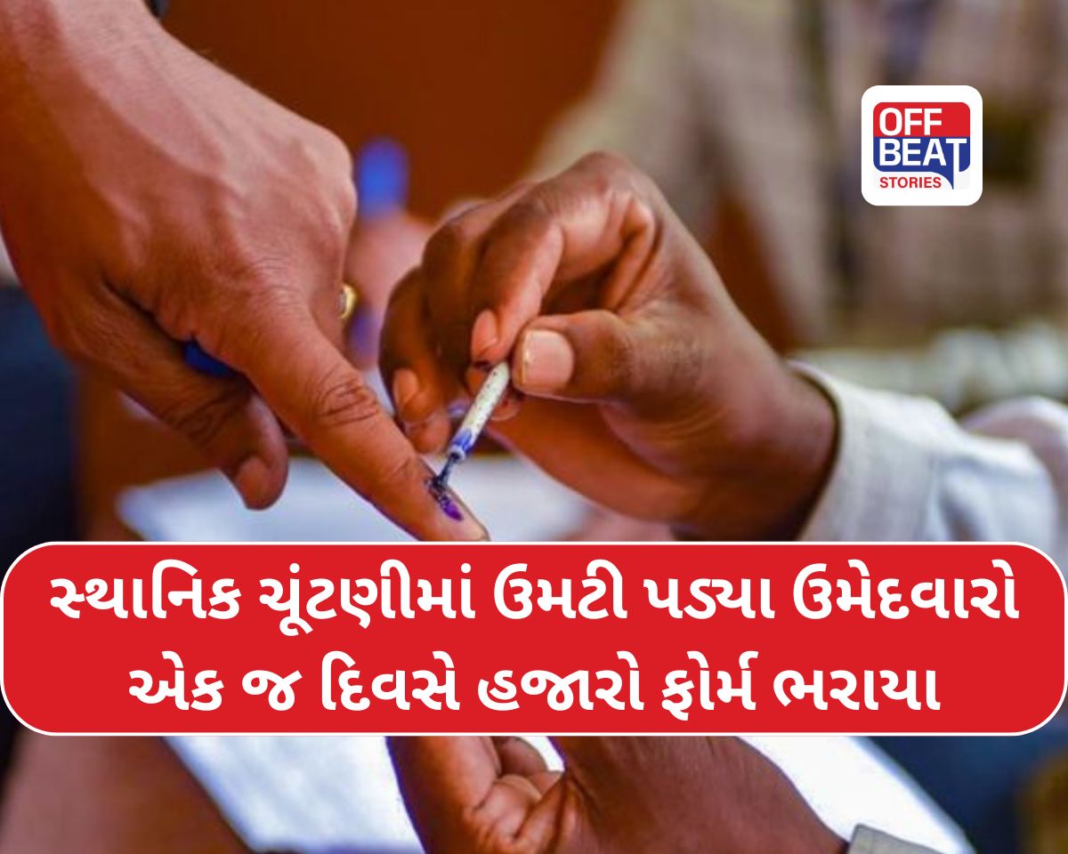 સ્થાનિક સ્વરાજ્યની ચૂંટણીમાં ઉમેદવારી ફોર્મનો વરસાદ