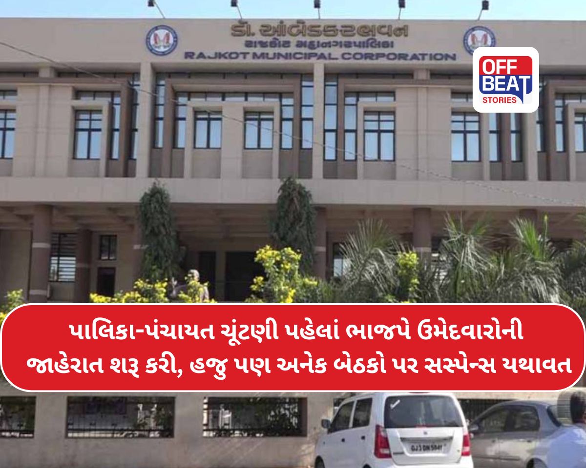 રાજકોટ મહાનગર પાલિકા અને પોરબંદર-આણંદ જિલ્લા પંચાયતની યાદી જાહેર