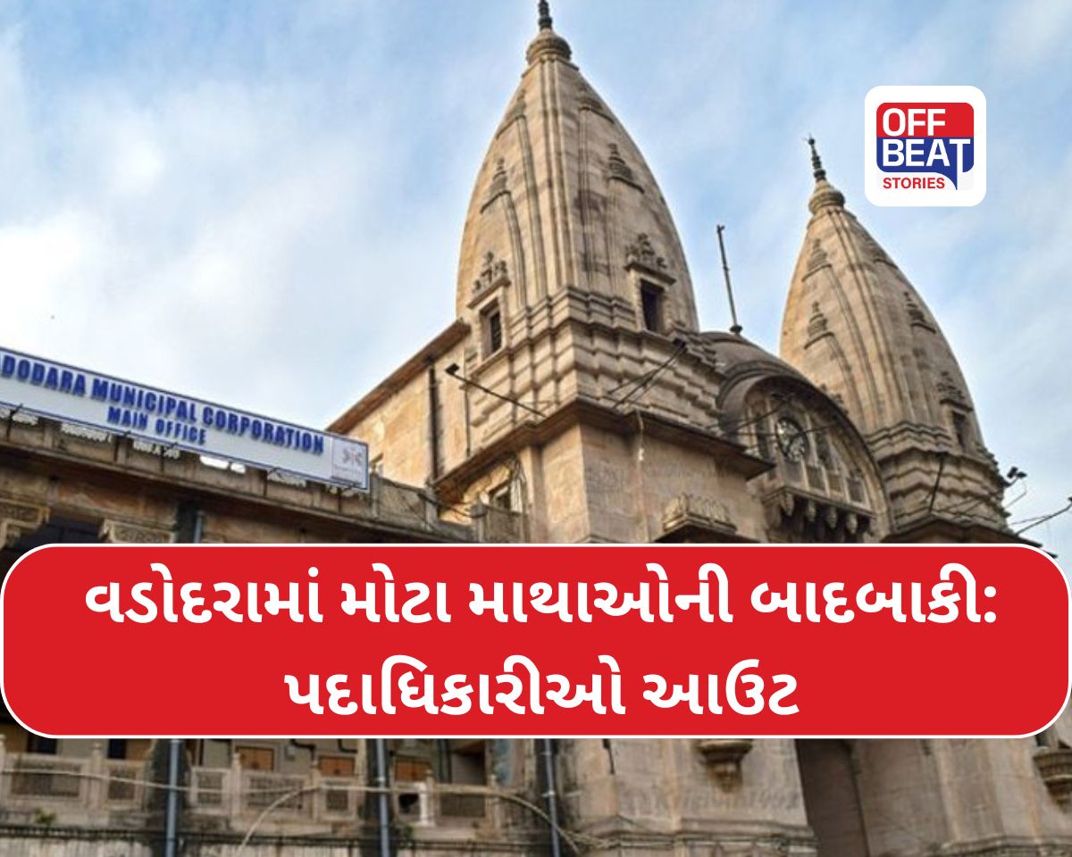 વડોદરા ભાજપે પત્તા ખોલ્યા