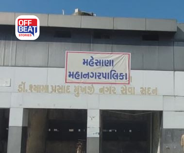 મહેસાણા મનપા માટે ભાજપે જાહેર કર્યાં ઉમેદવાર