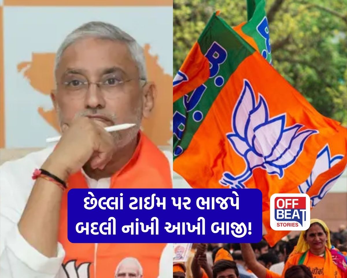 નસીબમાં પથરાં! ભાજપે પહેલાં ટિકિટ આપી પછી પત્તું કાપ્યું