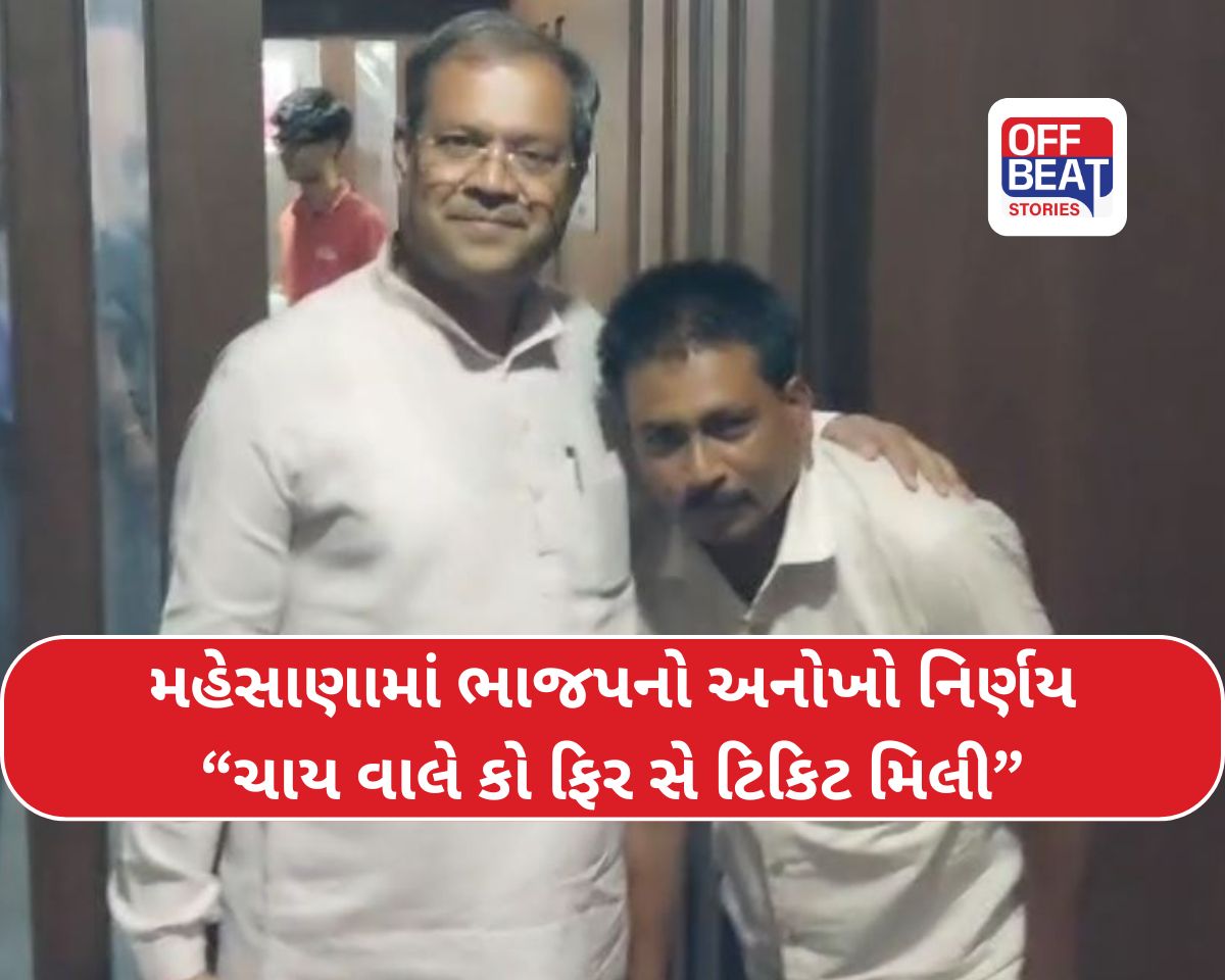 ચાવાળા બાદ હવે પટાવાળાને ટિકિટ: મહેસાણા ભાજપનો મોટો નિર્ણય