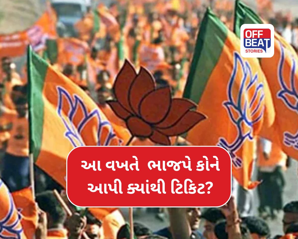 વડોદરા ભાજપમાં ‘પરિવારવાદ’નો જબરદસ્ત દબદબો