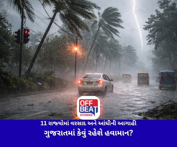 11 રાજ્યોમાં વરસાદ અને આંધીની આગાહી