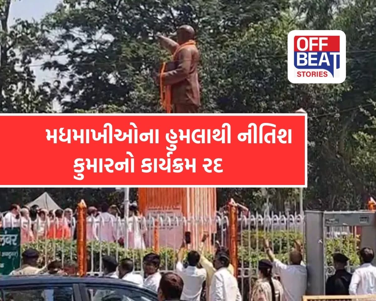 Nitish Kumar Program Bee Attack