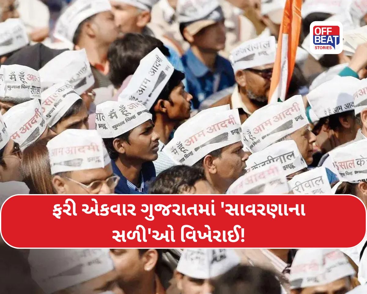 ચૂંટણી પહેલા AAPમાં એક સાંધે ત્યાં તેર તૂટે જેવી સ્થિતિ!