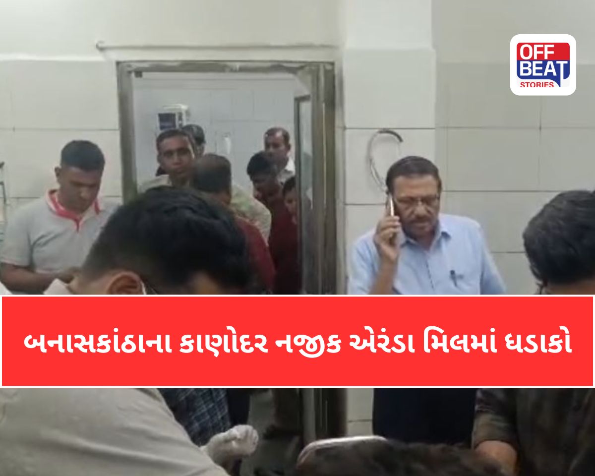 પાલનપુર નજીક કાણોદર હાઇ-વે પર એક દુઃખદ અકસ્માત