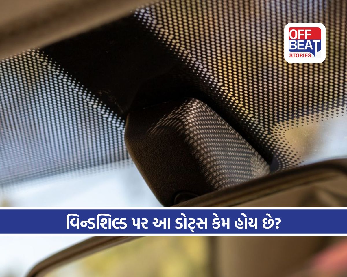 કારની વિન્ડશિલ્ડ પરના ટપકાં પાછળનું રહસ્ય શું છે?