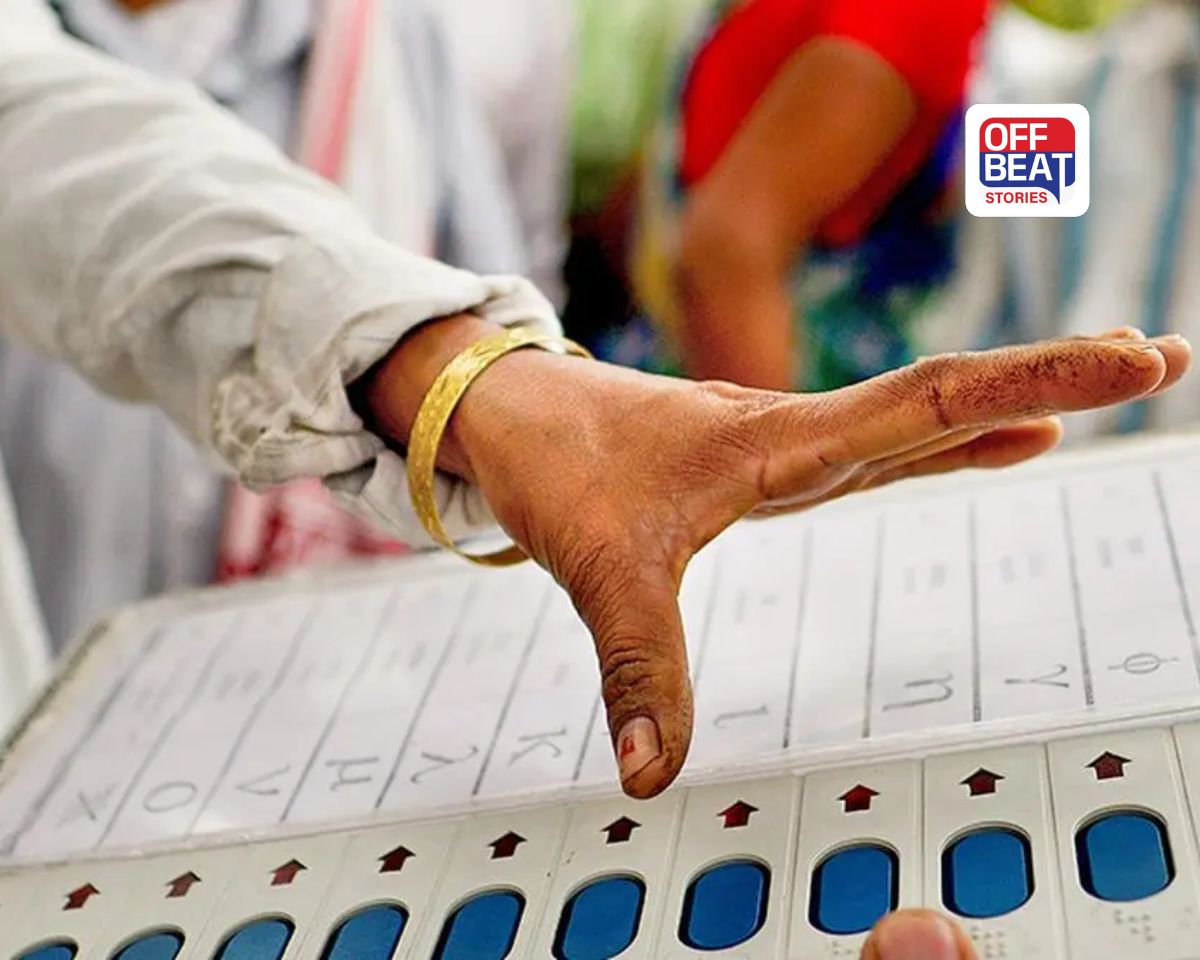 Local body elections 2026