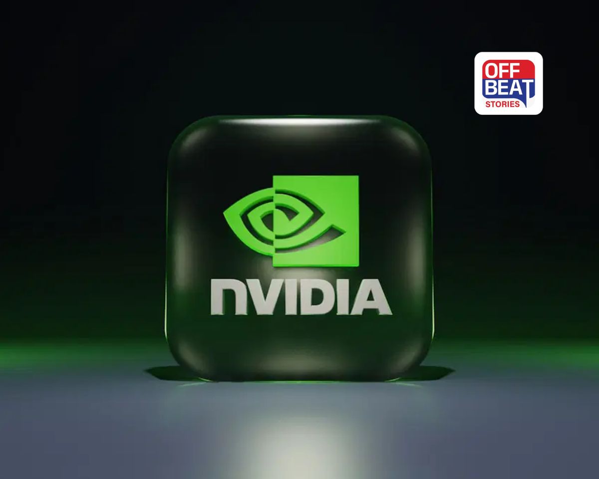 નોકરી હોય તો આવી!