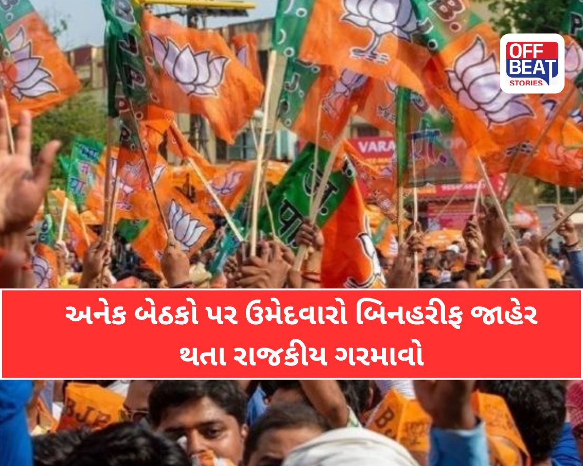 પંચમહાલ સ્થાનિક સ્વરાજ્યની ચૂંટણી