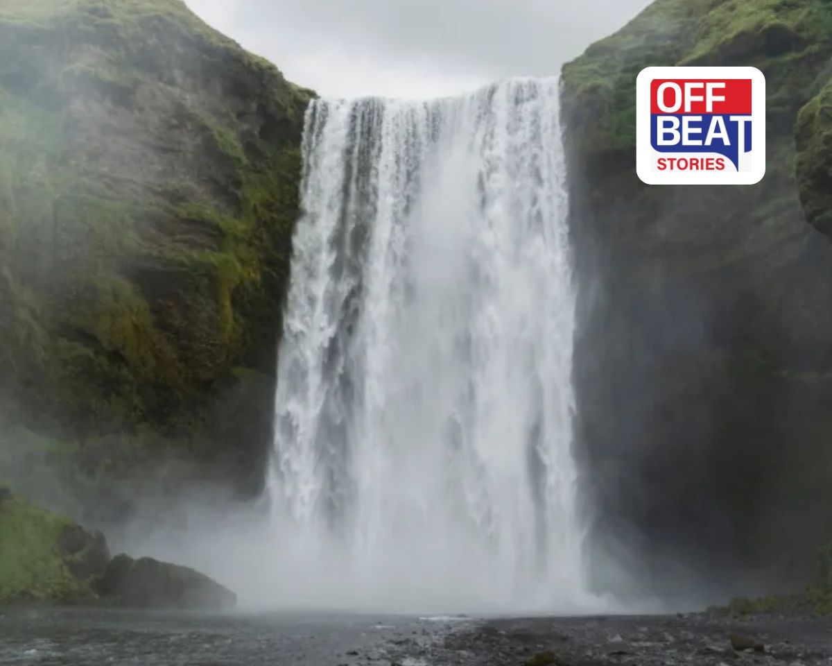 આગ વરસાવતી ગરમીમાં પણ ભરી દેશે ઠંડકનો અહેસાસ!