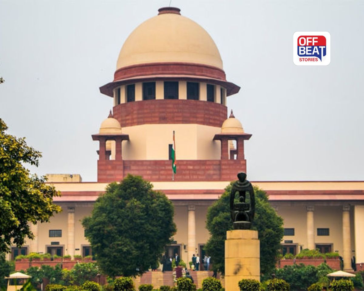 શું વોટ નહીં આપો તો જેલ થશે?