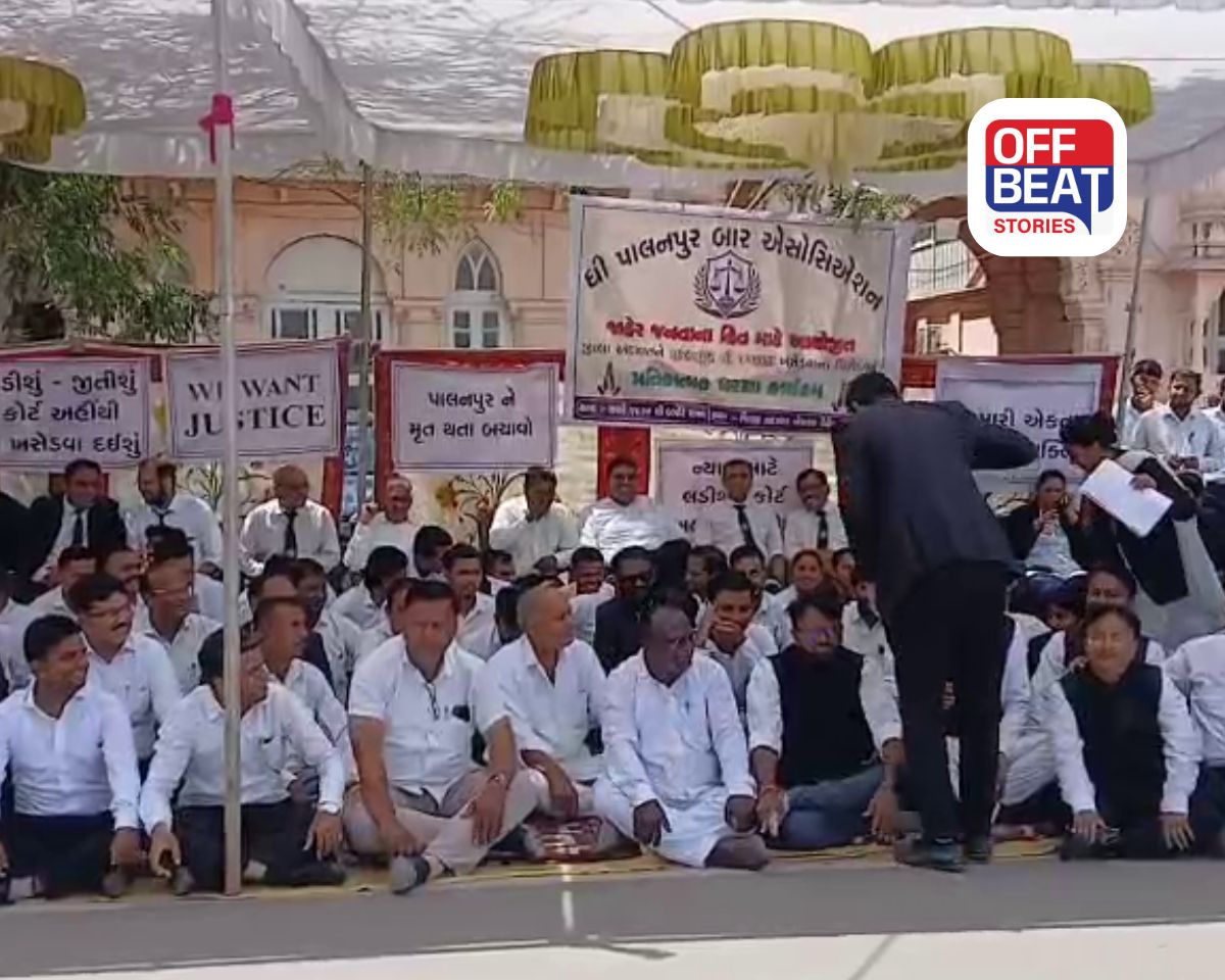 પાલનપુર કોર્ટ ખસેડવાના વિરોધમાં 1000થી વધુ વકીલોના ધરણા