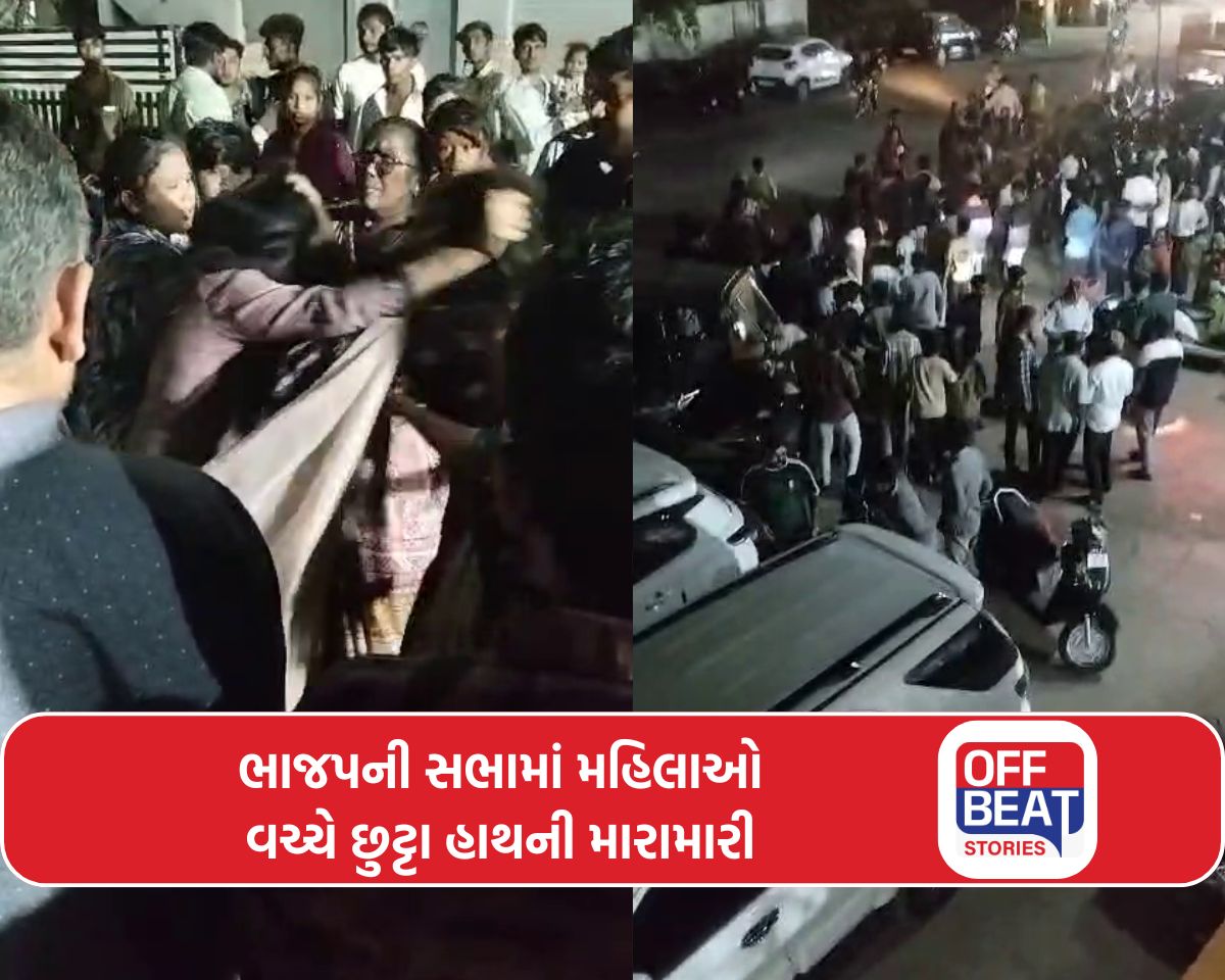 ભાજપની સભામાં વાળ ખેંચ્યા, લાફા માર્યા...