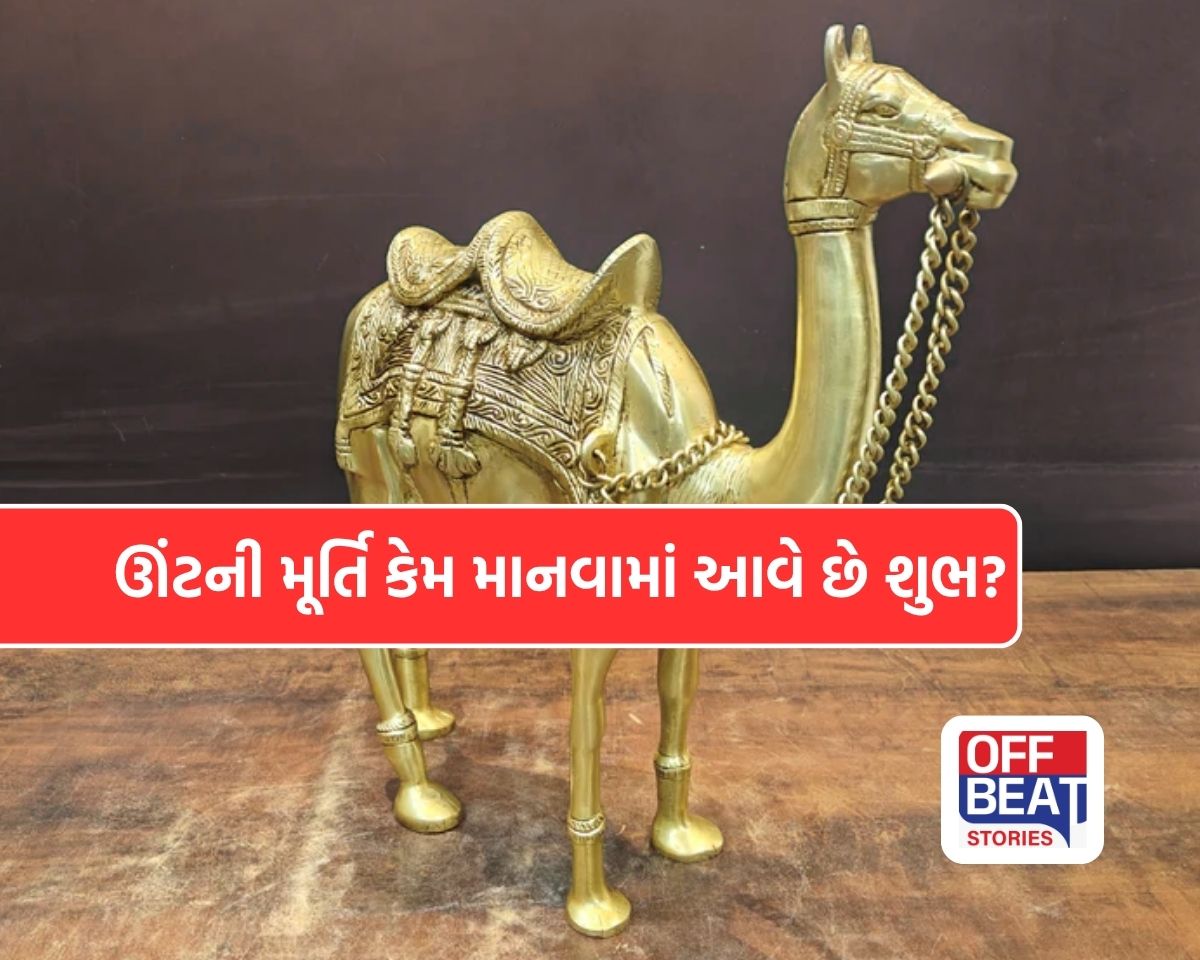 પ્રમોશન અટકી ગયું છે?