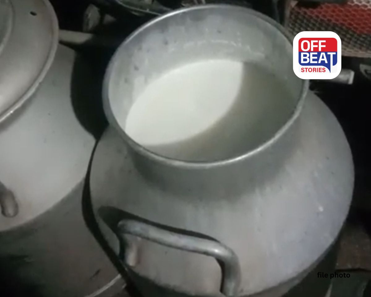 Rajkot માં નકલી દૂધનો મોટો ભાંડાફોડ