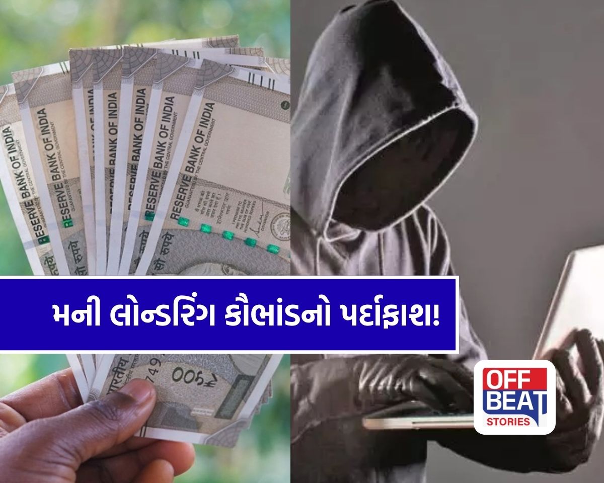 ગુજરાતમાં 210 કરોડનું મની લોન્ડરિંગ કૌભાંડ