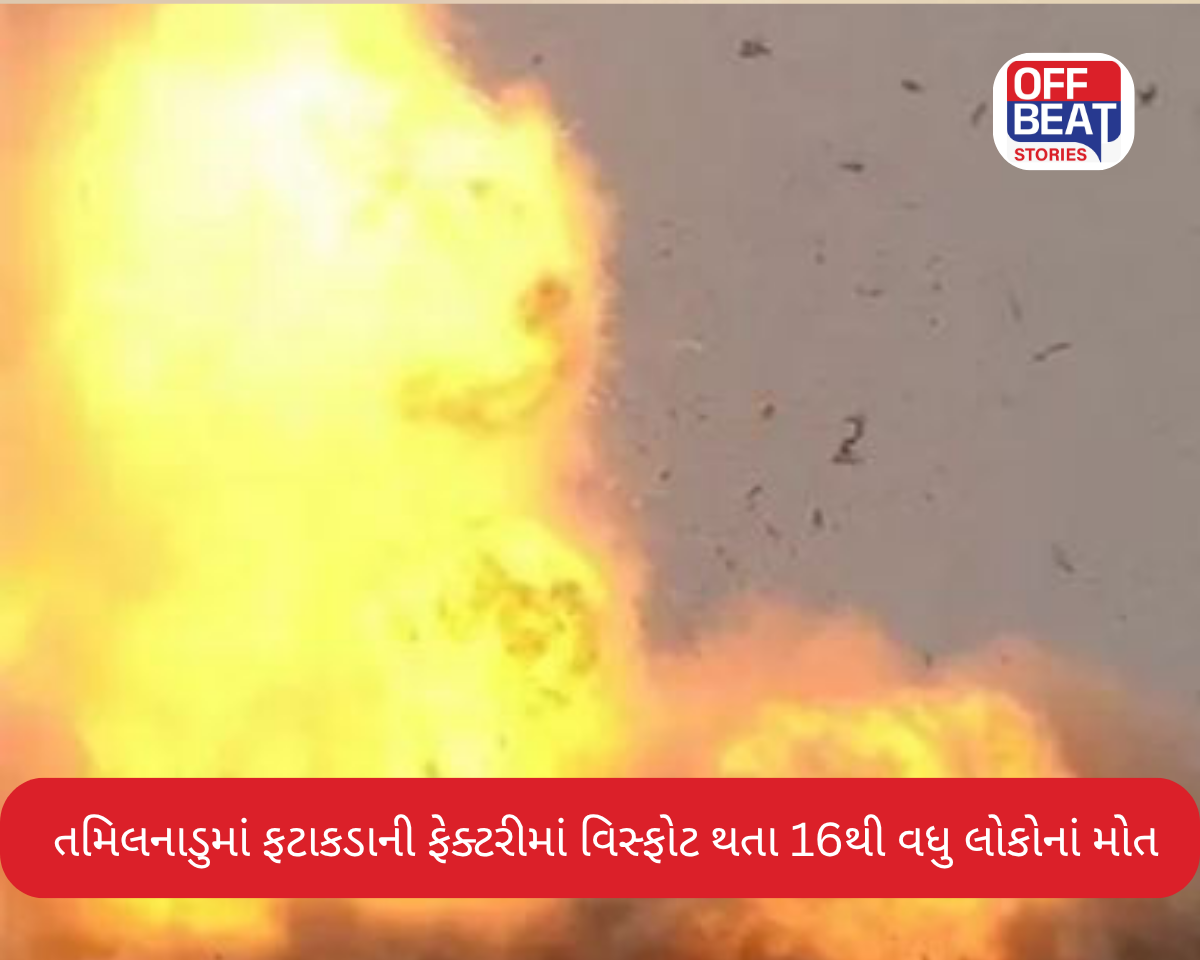 તમિલનાડુમાં ફટાકડાની ફેક્ટરીમાં થયો વિસ્ફોટ