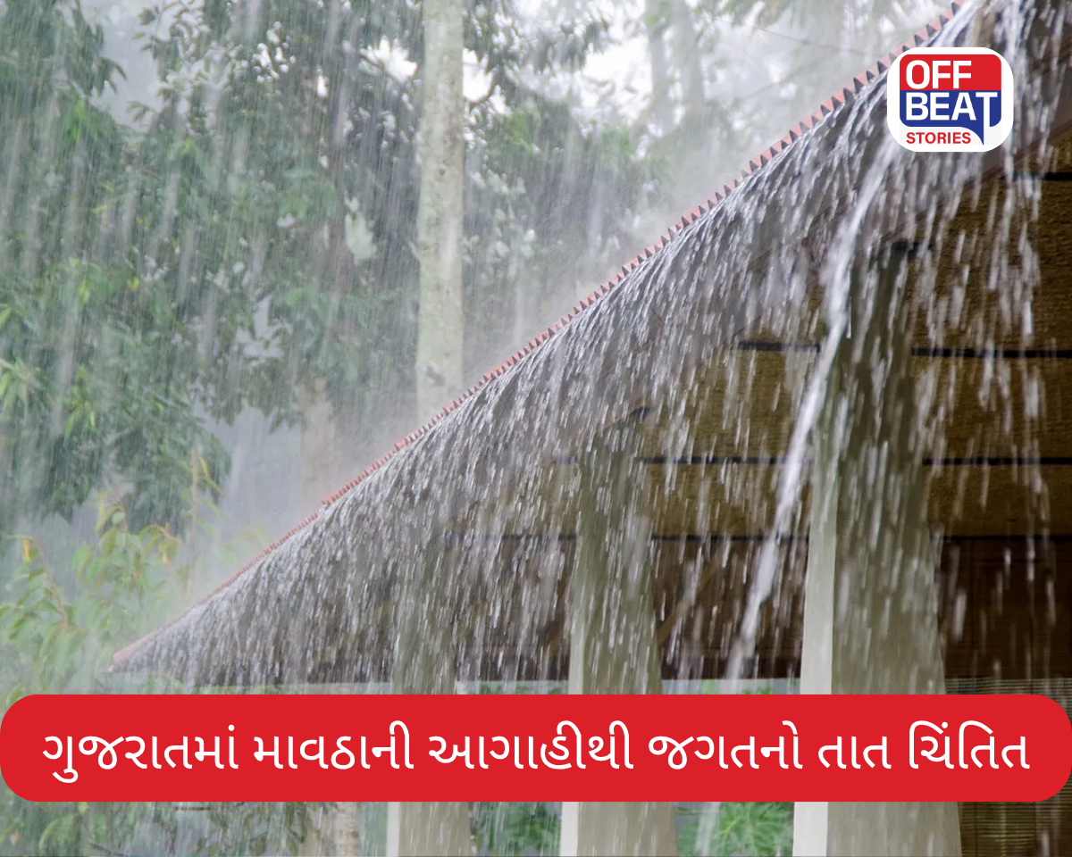 ગુજરાતમાં ગરમી વચ્ચે આવશે વરસાદની અણધારી આફત