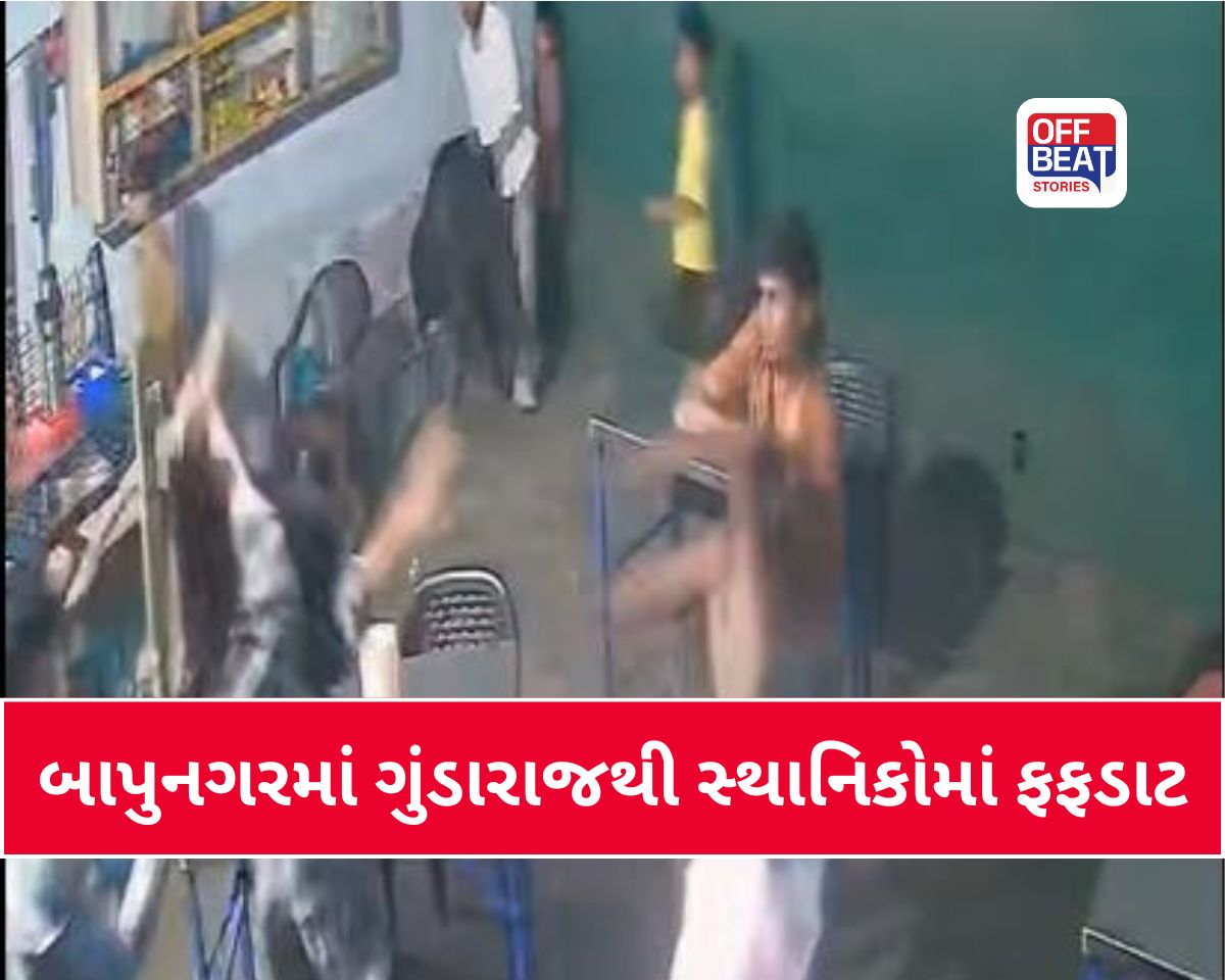 બાપુનગરમાં ગુંડારાજથી સ્થાનિકોમાં ફફડાટ