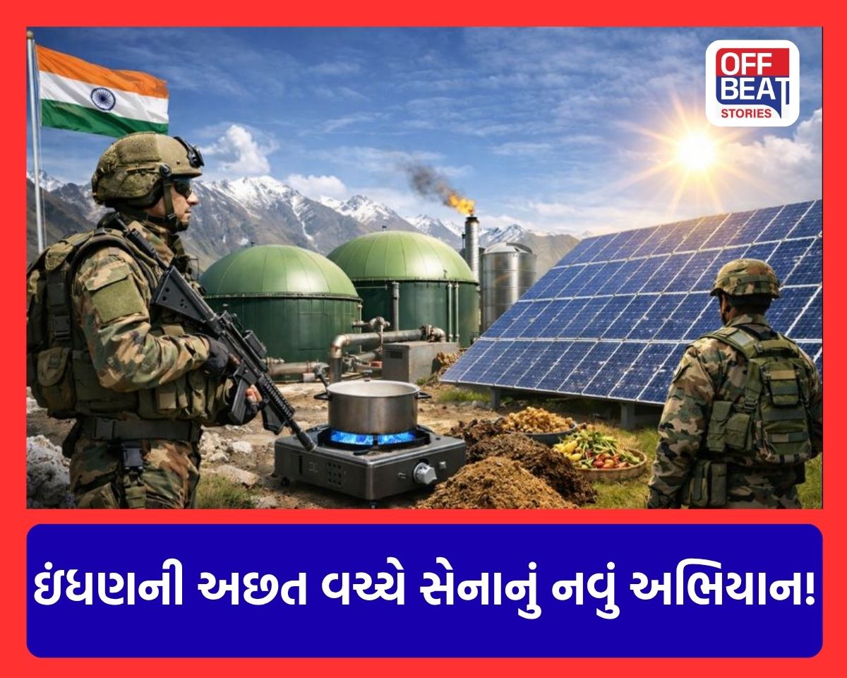 Indian Army Solar Energy