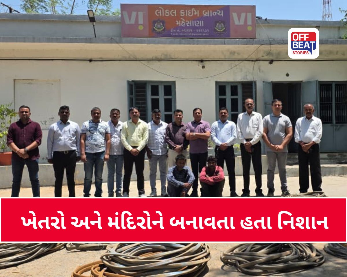 મહેસાણામાં કેબલ, ઘરફોડ અને મંદિર ચોરી કરતી ગેંગનો પર્દાફાશ