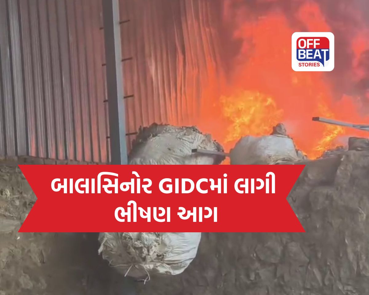 બાલાસિનોર GIDCમાં આગનું તાંડવ